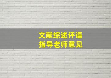 文献综述评语 指导老师意见